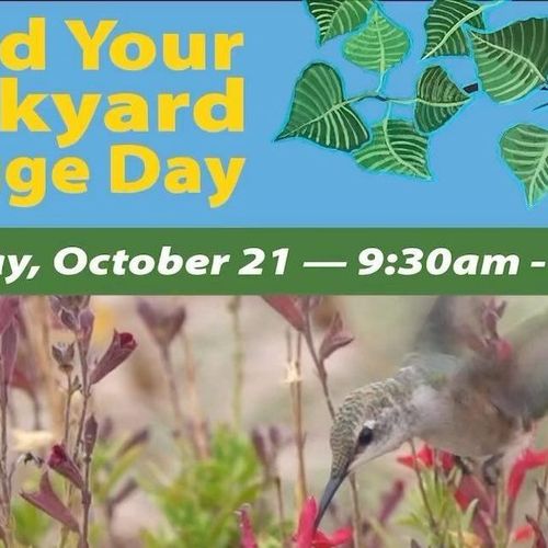 Build Your Yard Backyard Refuge Day