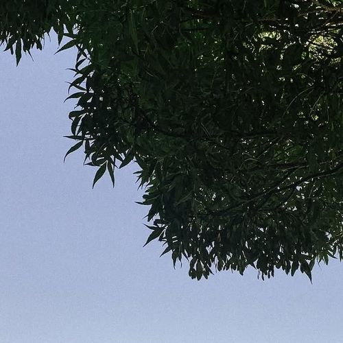 EDo Annual Gathering