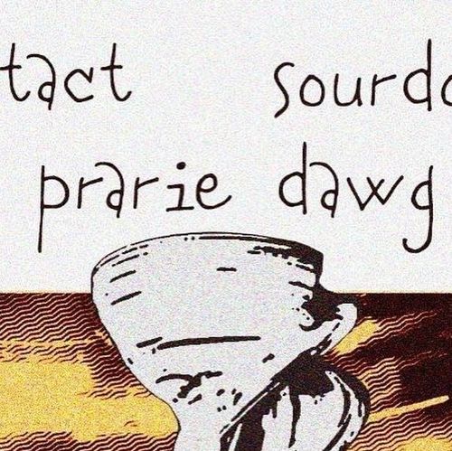 Contact / Sourdough / Prarie Dawg